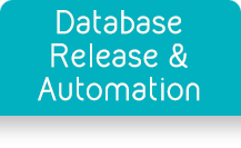 database release and automation
