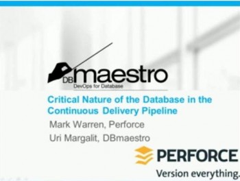 critical nature of the database webinar