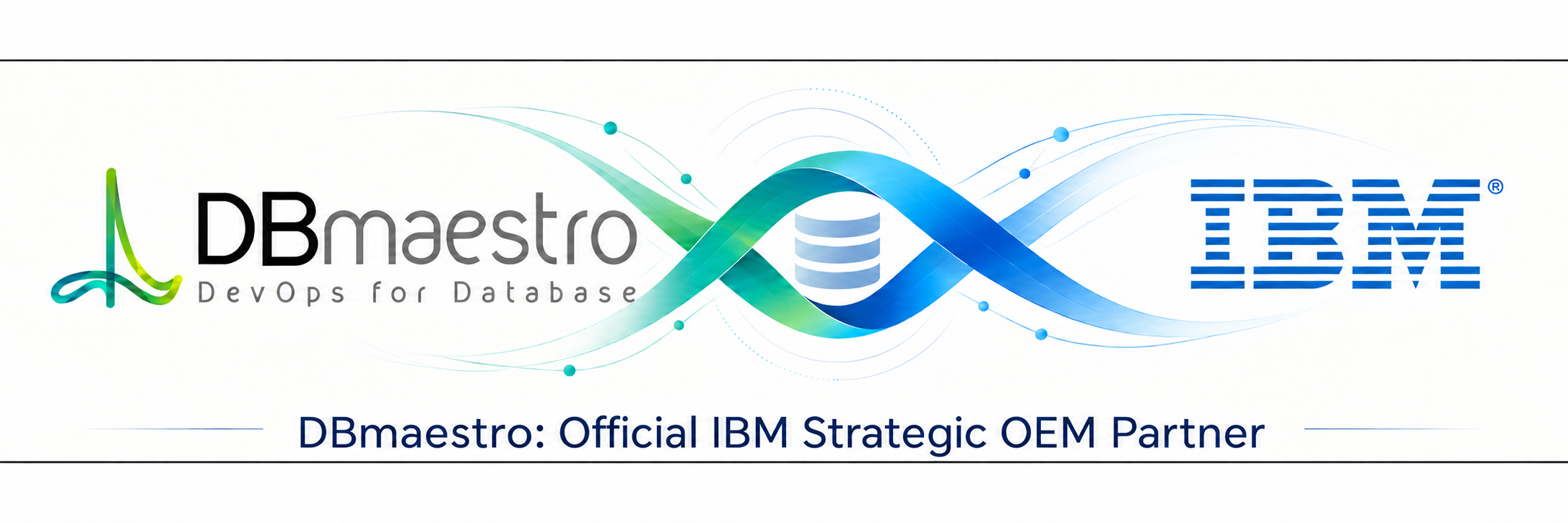 IBM Partner